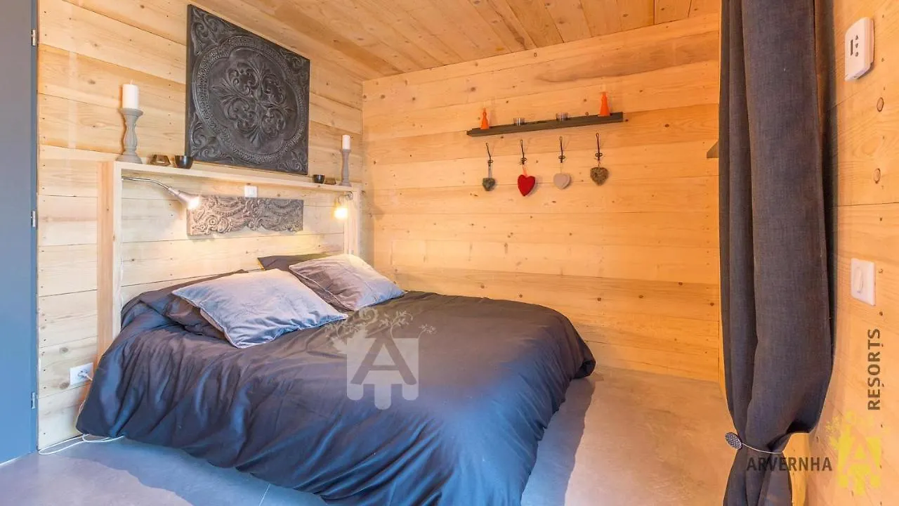 Holiday home Chalet Des Marmottes Besse-et-Saint-Anastaise